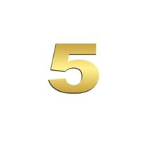 Número 5 (cinco) Potência Para Scania NTG Inox Dourado - Venka