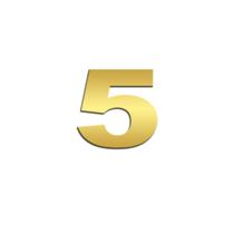 Número 5 Potência Para Scania NTG Inox Dourado Número 5 Potência Para Scania NTG Inox Dourado