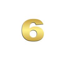 Número 6 (seis) Potência Para Scania NTG Inox Dourado - Venka