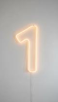 Número LED Neon 1 - 50cm Branco Frio