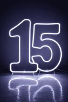 Números 15 Led Neon Branco Quente ou Frio Festa 50x25cm -