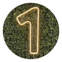 Números De Neon Led 0 A 9 Painel Placa Decoraç 0 Branco Quen