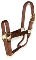 Nylon Halter Hamilton de 1 polegada para cavalo 363-499 kg marrom