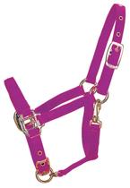 Nylon para vinho Chin Foal Halter Hamilton ajustável de 3/4 polegadas