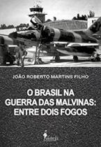 O Brasil na Guerra das Malvinas: entre dois fogos