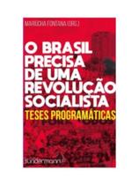 O brasil precisa de uma revolução socialista O brasil precisa de uma revolução socialista