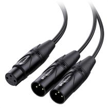 O cabo divisor XLR importa 0,5 m, 2 macho para 1 fêmea O cabo divisor XLR importa 0,5 m, 2 macho para 1 fêmea
