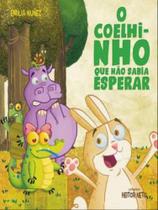 O coelhinho que não sabia esperar - TIBI EDITORA **