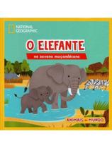 O elefante na savana moçambicana
