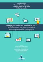 O espaço escolar e a pandemia 2021: o ensino básico não parou e criando novas metodologias didáticas e pedagógicas