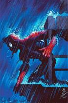 O Espetacular Homem-Aranha Vol. 28 / 72