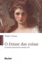 O êxtase das Coisas: o Destino Imaterial do Mundo Real