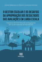 O gestor escolar e os desafios da apropriação dos resultados das avaliações em larga escala