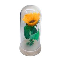 O Girassol Encantado A Bela E A Fera O Pequeno Príncipe G