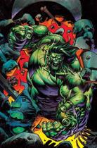 O Incrível Hulk (2024) - Vol. 02