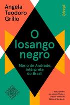 O Losango Negro - Mário de Andrade, Intérprete do Brasil