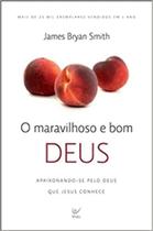 O maravilhoso e bom deus - james bryan smith - EDITORA VIDA