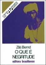 O que e negritude - coleçao primeiros passos 209