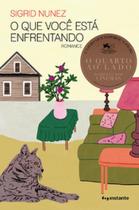 O que você está enfrentando: - O livro que inspirou o filme "O quarto ao lado", de Pedro Almodóvar