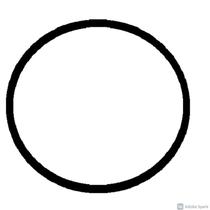 O ring Anel de Vedação 151,77mm x 5,33mm PF-22 Dancor Motobomba