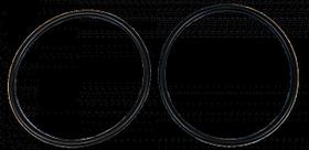 O Ring para Vedação da Tampa de Pulverizador Inox - Kit com 2 peças - Guarany (K5168.00.00)