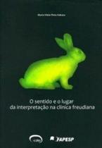 O sentido e o lugar da interpretação na clínica freudiana - Via Lettera Editora O sentido e o lugar da interpretação na clínica freudiana - Via Lettera Editora