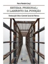O sistema prisional: o labirinto da punição