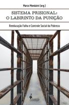 O sistema prisional: o labirinto da punição: reeducação falha e controle social da pobreza