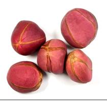 Obi Africano 4 Gomos Maravilhosos 3 Unidades