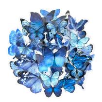 OBUJOPAL 40 adesivos de borboleta azul 4x5 cm PET OBUJOPAL 40 adesivos de borboleta azul 4x5 cm PET