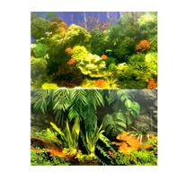 Ocean Tech Painel De Fundo P/ Aquario C02/c10 40cm - Metro