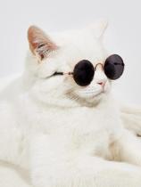 Óculos De Espelho Redondo Para Animais De Estimação Óculos De Espelho Redondo Para Animais De Estimação