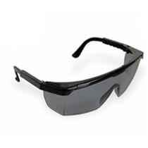 Oculos de proteção argon cinza libus