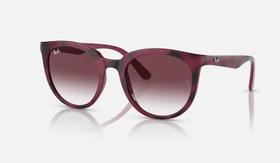 Óculos De Sol Feminino Ray-Ban RB4383L 655336 53