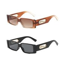 Óculos De Sol Femininos Estilosos Com Cabeça De Leopardo 2PCS Pequena Armação Óculos De Alta