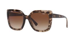 Óculos de sol GRAZI 0GZ4048 K196 Óculos de sol GRAZI 0GZ4048 K196