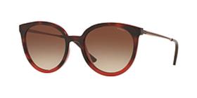 Óculos De Sol Gri Massafera Gz4042 H926 52 Óculos De Sol Gri Massafera Gz4042 H926 52