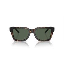Óculos de Sol Masculino Arnette Marrom Havana 53mm