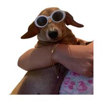 Óculos de Sol para Cachorro Gato Pet com Proteção UV400 Óculos de Sol para Cachorro Gato Pet com Proteção UV400