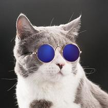 Oculos de sol para gato