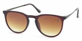 Óculos de Sol PLC Unissex Casual Way Farer Marrom UV400 Kit contém Case