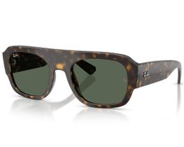 Óculos De Sol Ray Ban Core Havana RB2218 679071-55 Óculos De Sol Ray Ban Core Havana RB2218 679071-55