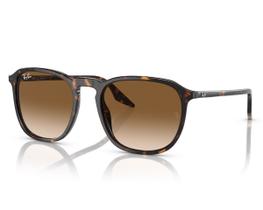 Óculos De Sol Ray Ban Havana RB2203 902/51-55