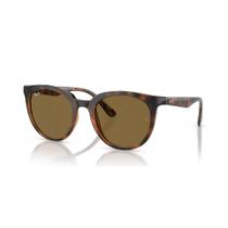 Óculos de Sol Ray-Ban RB 4383L 710/73 53 Óculos de Sol Ray-Ban RB 4383L 710/73 53