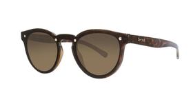Óculos de sol secret tereza havana turtle brown