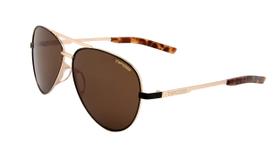 Óculos de Sol Tifosi Optics Shae Aviator - Midnight Gold com Lentes Marrons Óculos de Sol Tifosi Optics Shae Aviator - Midnight Gold com Lentes Marrons