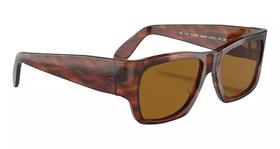 Óculos De Sol Unissex Nomad 2187 Marrom Com Lentes Marrons - Importado Italia