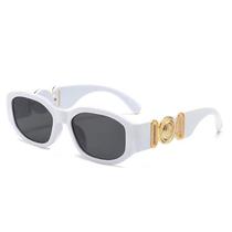 Óculos De Sol Vintage UV400 Irregulares Com Armação Pequena, Óculos De Sol Da Moda Para Homens E