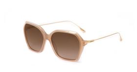 Óculos Solar Colcci C0159b6134 Nude Translucido Lente Marrom Degrade Óculos Solar Colcci C0159b6134 Nude Translucido Lente Marrom Degrade