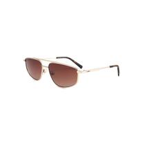 Óculos Solar Colcci C0308E0834 Dourado Fosco Lente Marrom Degradê cat1 - Óculos Solar Colcci C0308E0834 Dourado Fosco Lente Marrom Degradê cat1 -